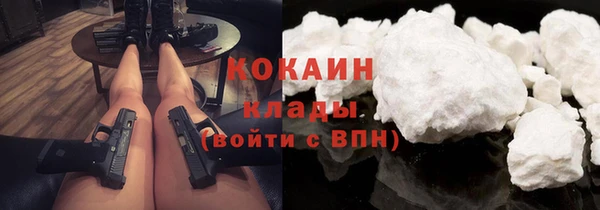 молекула духа Надым