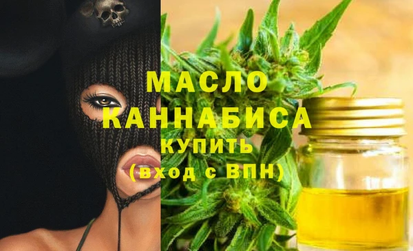 молекула духа Надым